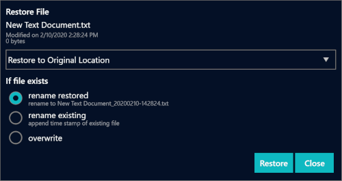 sn snapshot restore options
