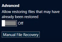 Manual File Recovery