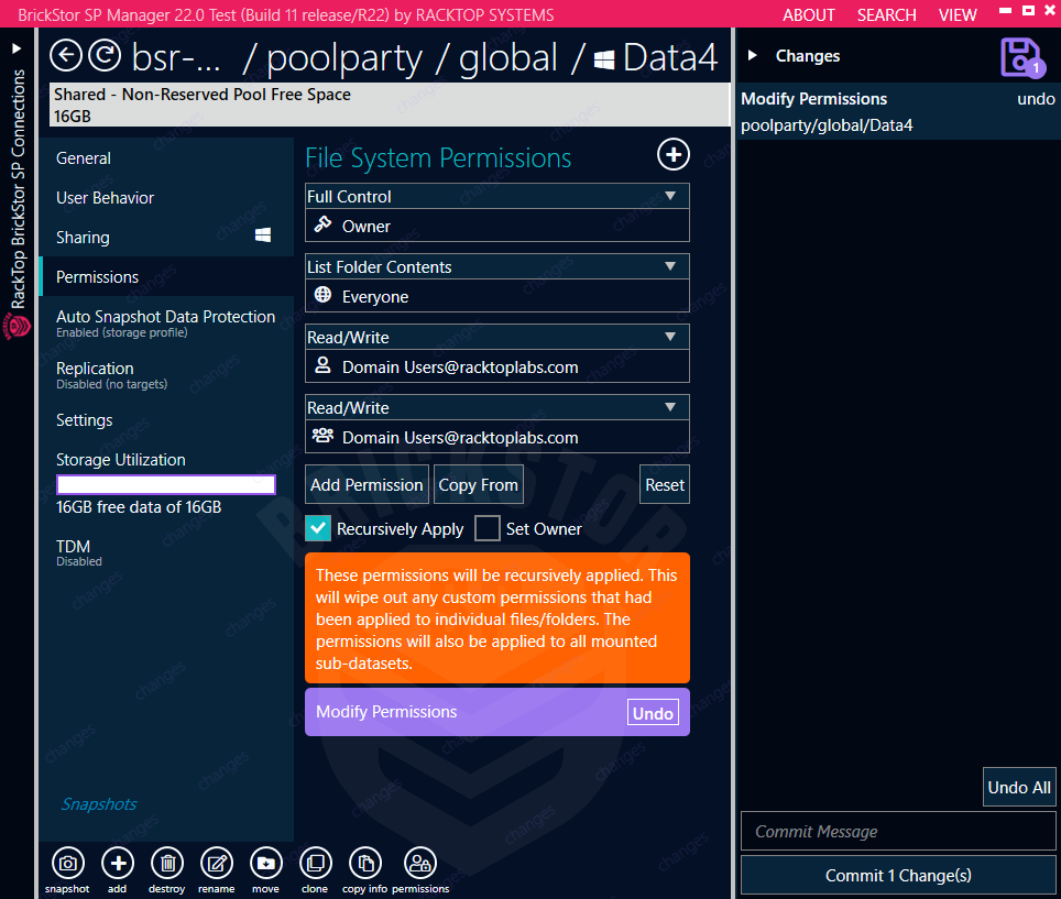 ds permissions commit recursive