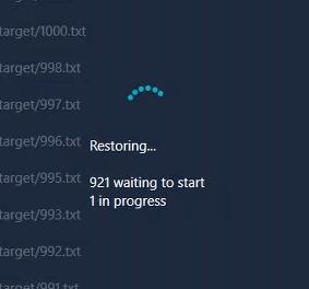 Bulk Recovery Progress Wheel