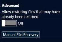 Manual File Recovery