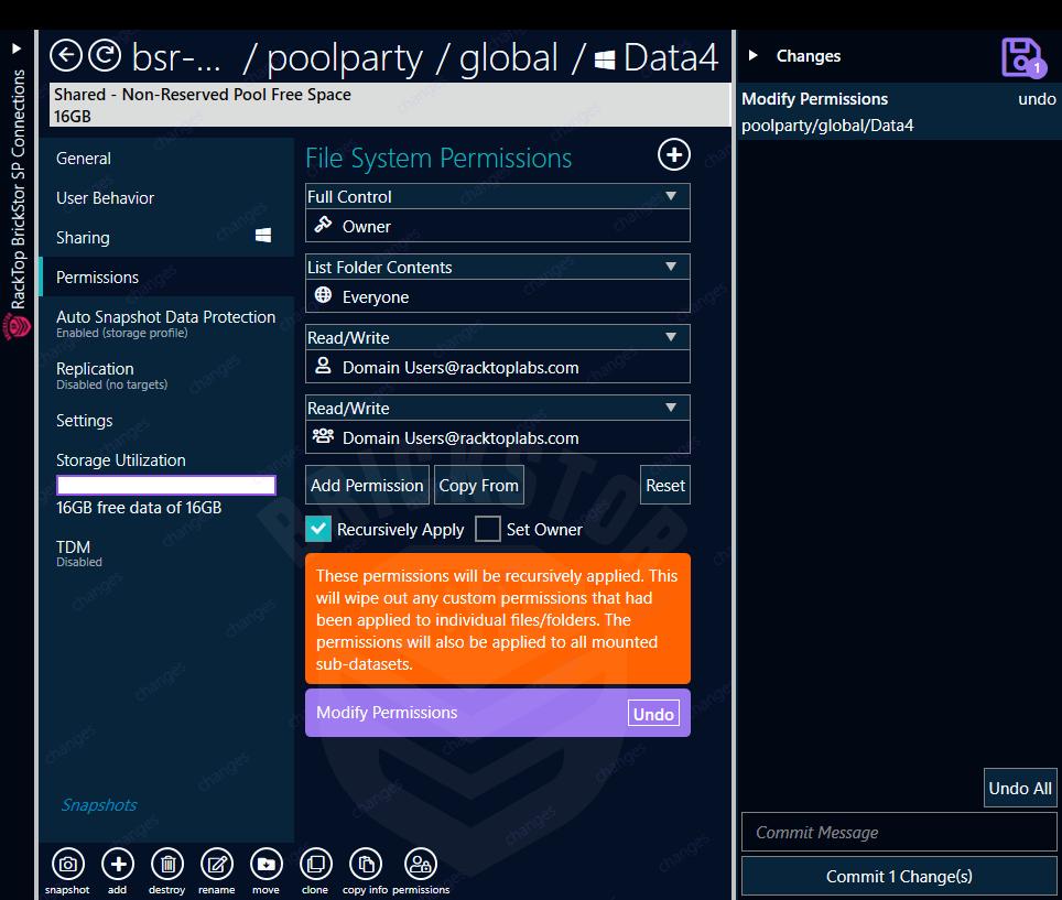 ds permissions commit recursive